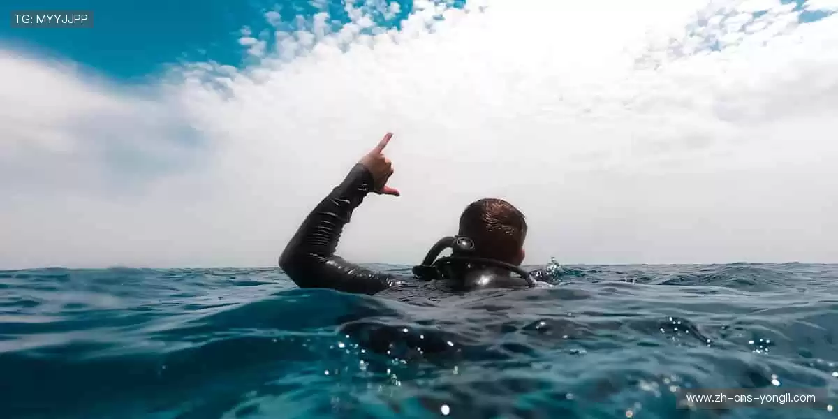 🔥【赛事名称】热血开赛！巅峰对决，勇往直前🏆